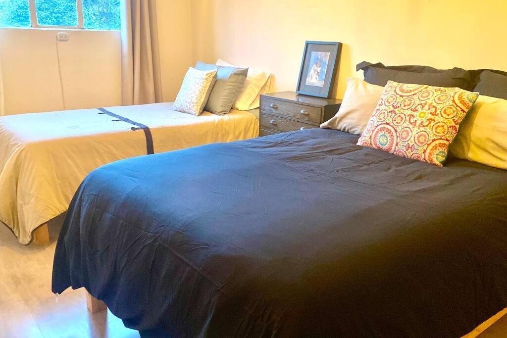 Amazing Cozy Apartment In Condesa Kota Meksiko Bagian luar foto